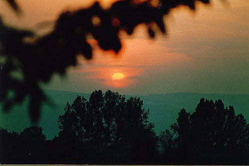 1 sonnenunterbdh.p.jpg